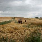 Ecevit Hükümeti 1999-2002:  Aralığında Tarım Politikalarının Tasfiyesi