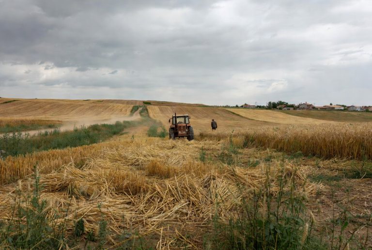 Ecevit Hükümeti 1999-2002:  Aralığında Tarım Politikalarının Tasfiyesi