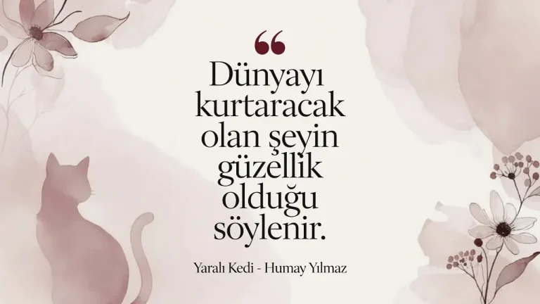 Yaralı Kedi